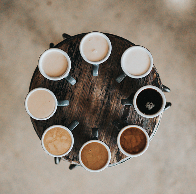 Organic Coffee: The Definitive Guide