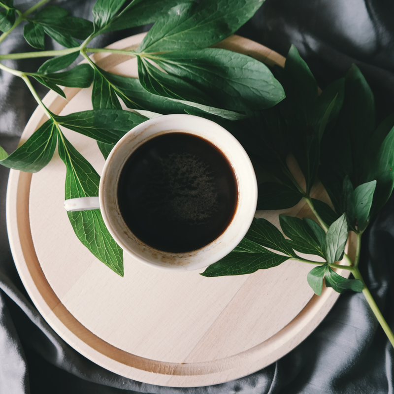Filter Coffee: Why It’s So Easy to Love