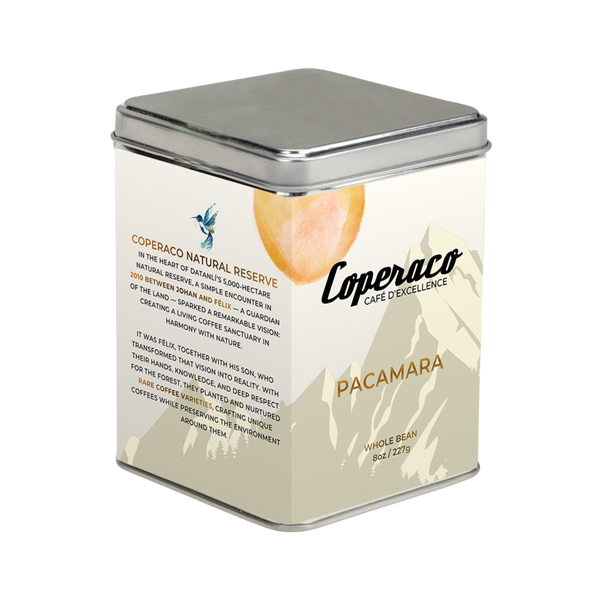 Nicaragua Pacamara - 8oz