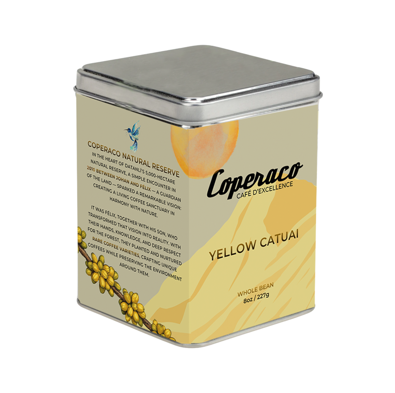 Yellow Catuai