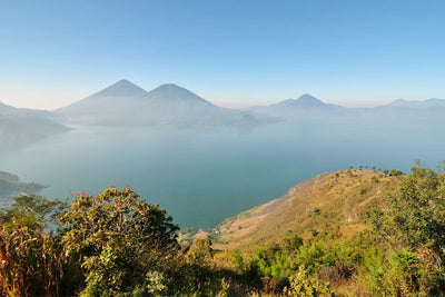 Landscape at Coffee Farm